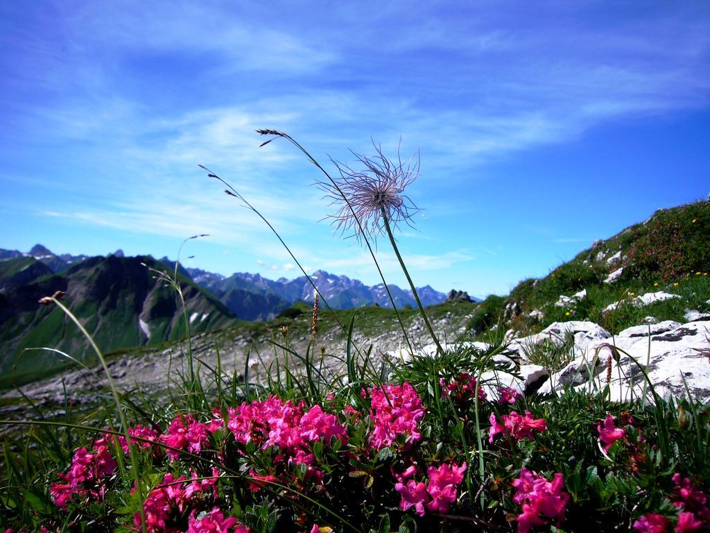 Alpenflair Ferienwohnungen Haus Doris Oberstdorf Exterior foto